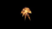 Explosive Graphics II