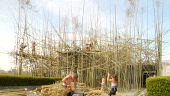 Big Bambú